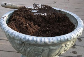 soil in pot